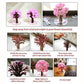 Magic Cherry Blossom Tree – Decorative Miniature Tree for Home & Office Décor - My Store