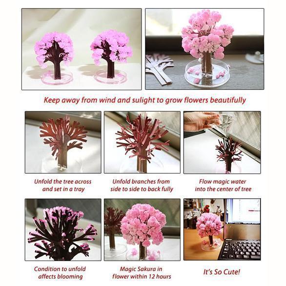 Magic Cherry Blossom Tree – Decorative Miniature Tree for Home & Office Décor - My Store
