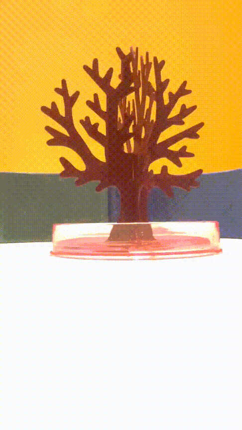 Magic Cherry Blossom Tree – Decorative Miniature Tree for Home & Office Décor - My Store