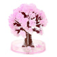 Magic Cherry Blossom Tree – Decorative Miniature Tree for Home & Office Décor - My Store