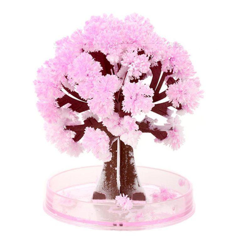 Magic Cherry Blossom Tree – Decorative Miniature Tree for Home & Office Décor - My Store