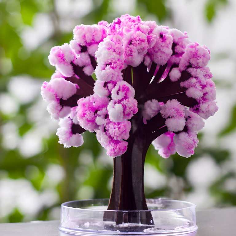 Magic Cherry Blossom Tree – Decorative Miniature Tree for Home & Office Décor - My Store