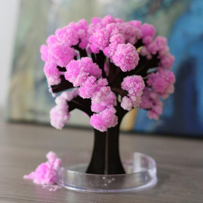 Magic Cherry Blossom Tree – Decorative Miniature Tree for Home & Office Décor - My Store